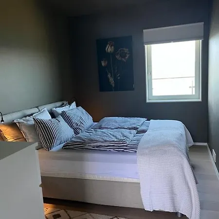 Apartment Penthouse Panorama